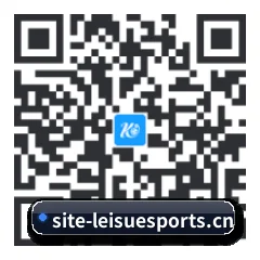 系统版 Android 二维码